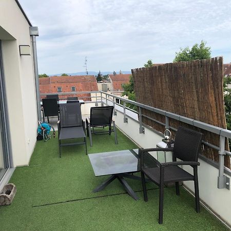 La Terrasse Apartment Strasbourg Bagian luar foto