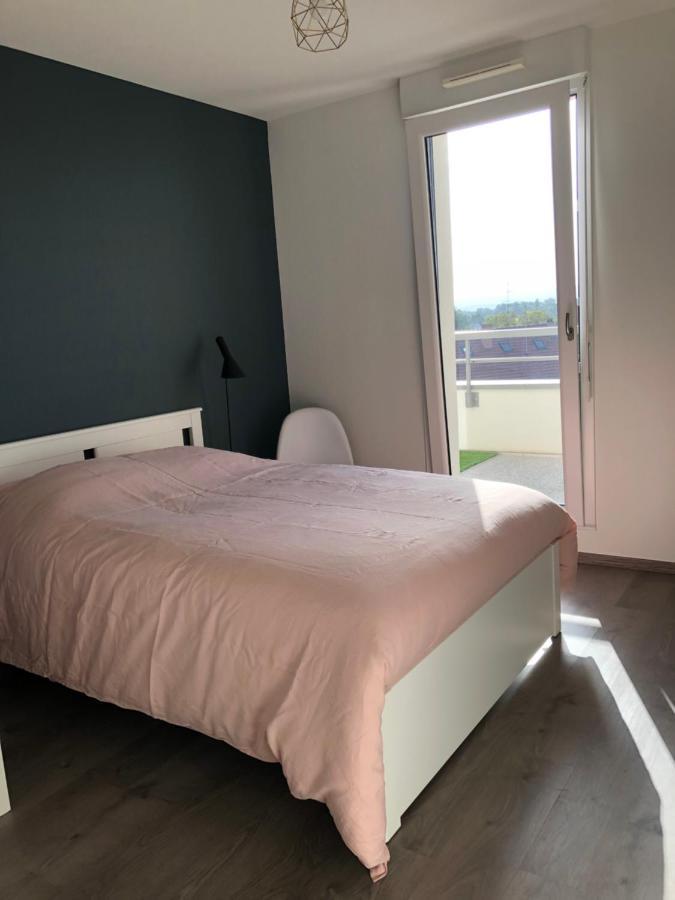 La Terrasse Apartment Strasbourg Bagian luar foto