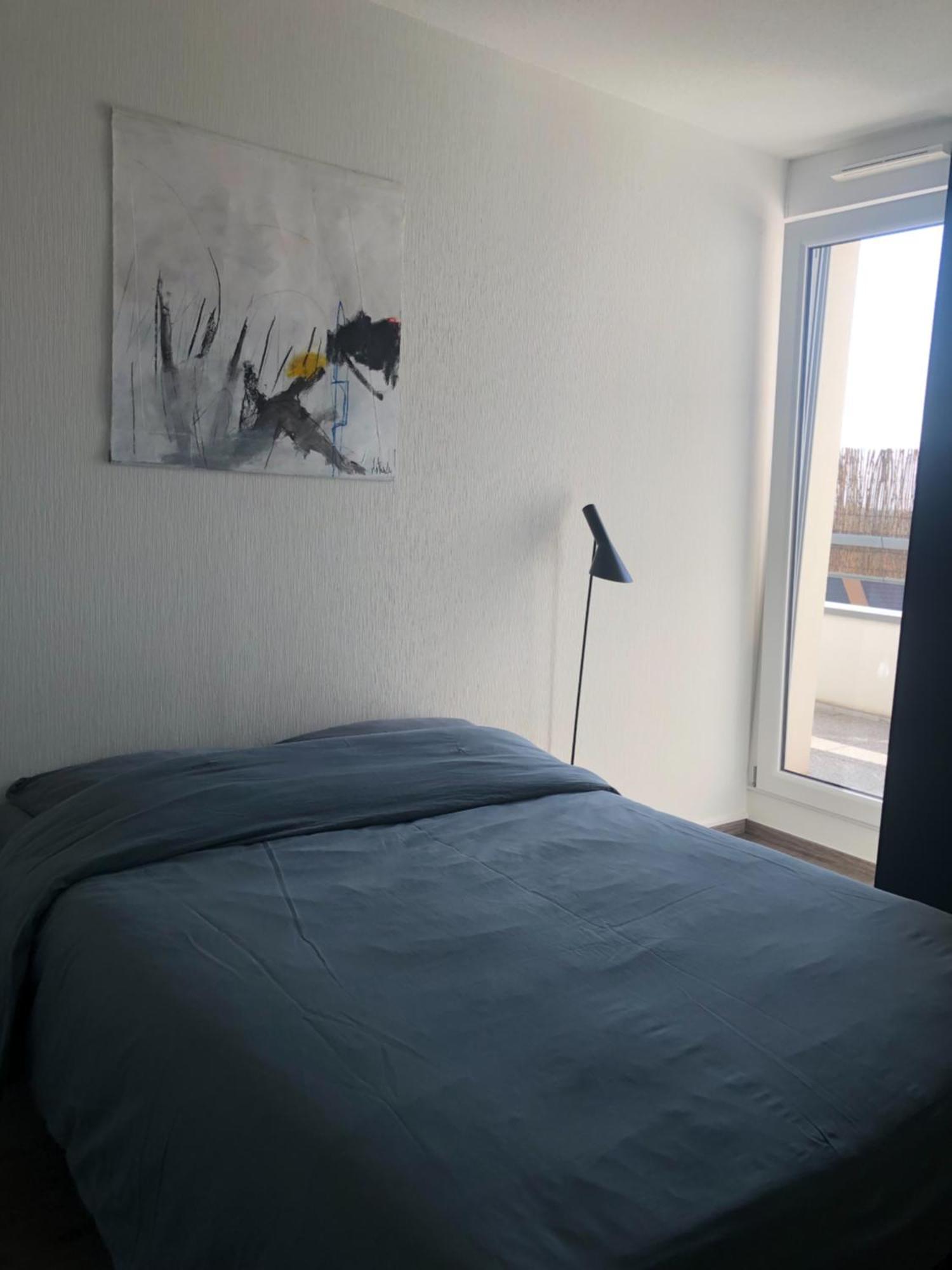 La Terrasse Apartment Strasbourg Bagian luar foto